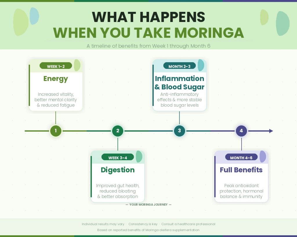 Moringa supplement results timeline showing when to expect benefits